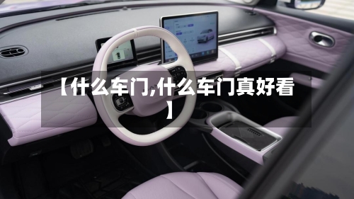 【什么车门,什么车门真好看】-第1张图片