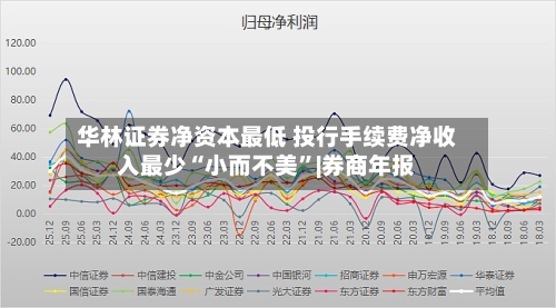 华林证券净资本最低 投行手续费净收入最少“小而不美”|券商年报-第1张图片