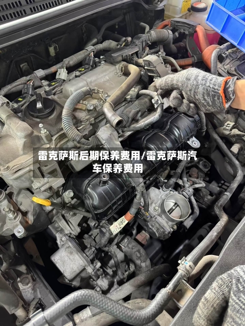 雷克萨斯后期保养费用/雷克萨斯汽车保养费用-第2张图片