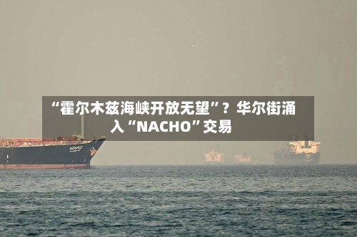 “霍尔木兹海峡开放无望”？华尔街涌入“NACHO	”交易-第1张图片