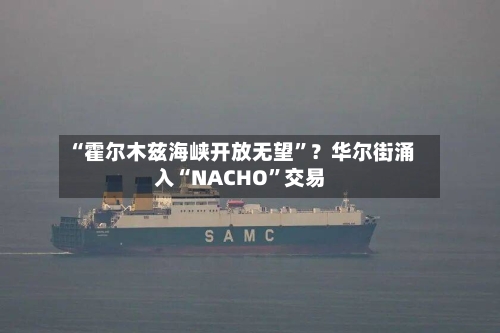 “霍尔木兹海峡开放无望”？华尔街涌入“NACHO	”交易-第3张图片