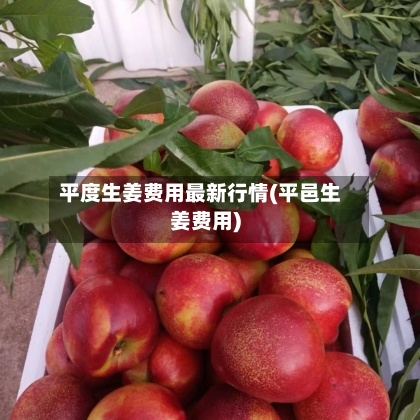平度生姜费用最新行情(平邑生姜费用)-第1张图片
