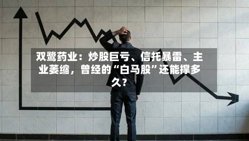 双鹭药业：炒股巨亏、信托暴雷	、主业萎缩，曾经的“白马股”还能撑多久？-第2张图片