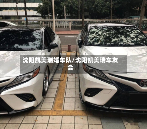 沈阳凯美瑞婚车队/沈阳凯美瑞车友会-第1张图片