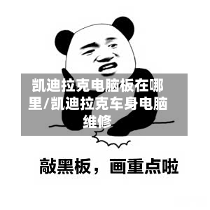 凯迪拉克电脑板在哪里/凯迪拉克车身电脑维修-第3张图片