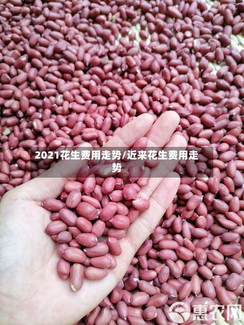 2021花生费用走势/近来花生费用走势-第1张图片