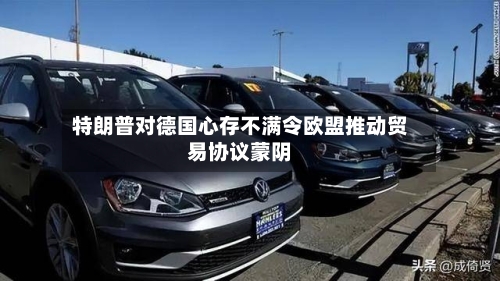 特朗普对德国心存不满令欧盟推动贸易协议蒙阴-第1张图片