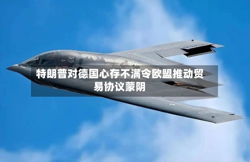 特朗普对德国心存不满令欧盟推动贸易协议蒙阴-第3张图片