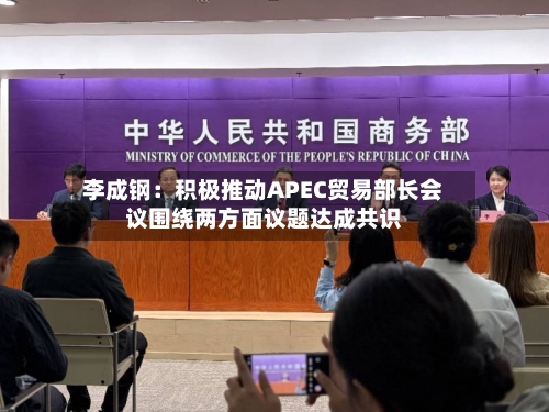 李成钢：积极推动APEC贸易部长会议围绕两方面议题达成共识-第1张图片