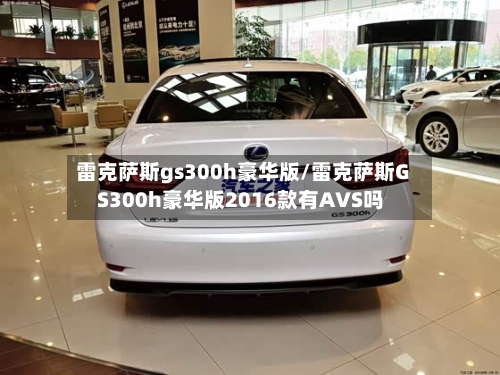 雷克萨斯gs300h豪华版/雷克萨斯GS300h豪华版2016款有AVS吗-第2张图片