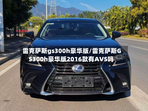 雷克萨斯gs300h豪华版/雷克萨斯GS300h豪华版2016款有AVS吗-第3张图片