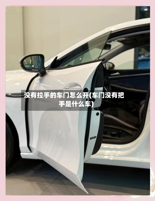 没有拉手的车门怎么开(车门没有把手是什么车)-第1张图片