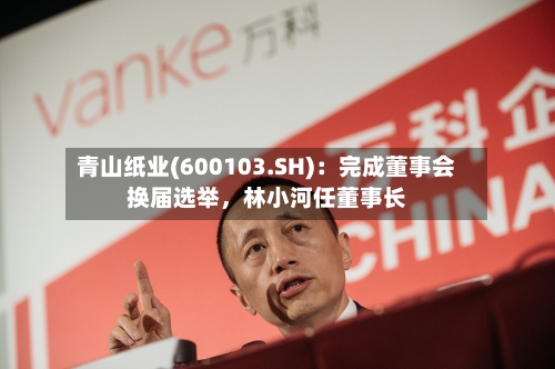 青山纸业(600103.SH)：完成董事会换届选举，林小河任董事长-第1张图片