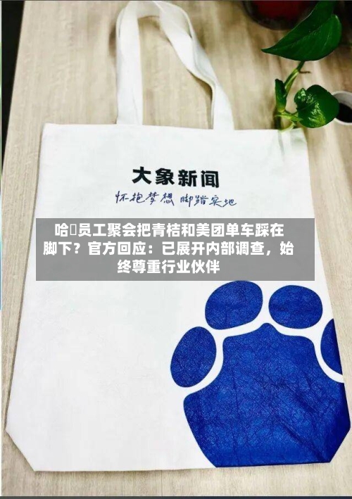 哈啰员工聚会把青桔和美团单车踩在脚下？官方回应：已展开内部调查，始终尊重行业伙伴-第2张图片
