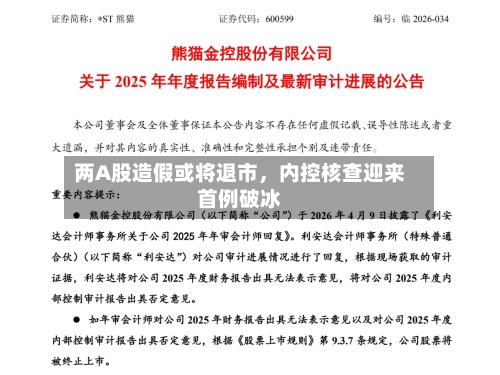 两A股造假或将退市，内控核查迎来首例破冰-第1张图片