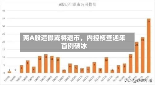 两A股造假或将退市	，内控核查迎来首例破冰-第2张图片