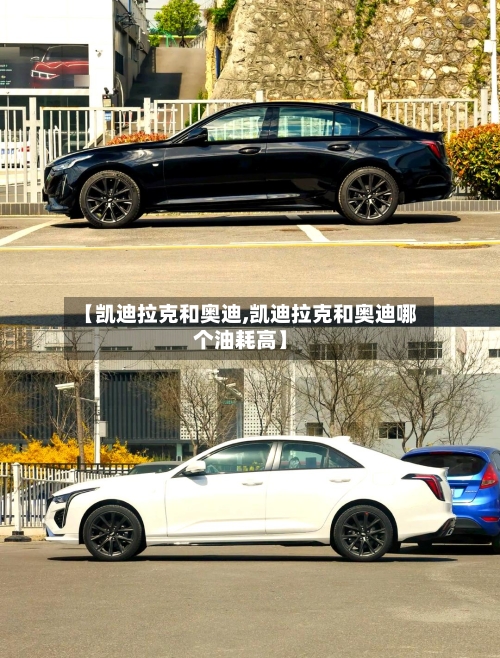 【凯迪拉克和奥迪,凯迪拉克和奥迪哪个油耗高】-第2张图片