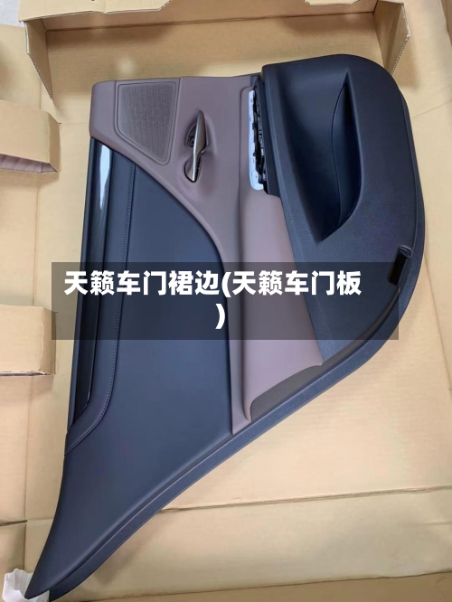天籁车门裙边(天籁车门板)-第2张图片