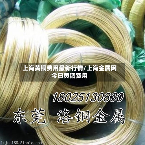上海黄铜费用最新行情/上海金属网今日黄铜费用-第2张图片