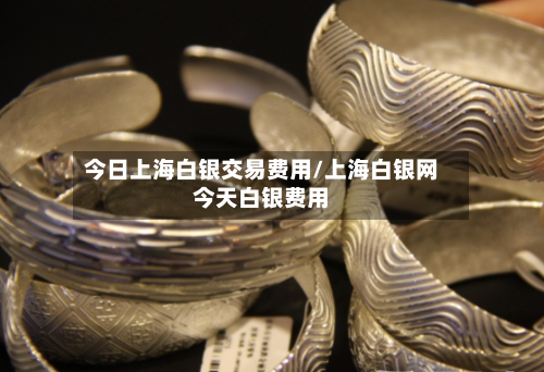 今日上海白银交易费用/上海白银网今天白银费用-第2张图片