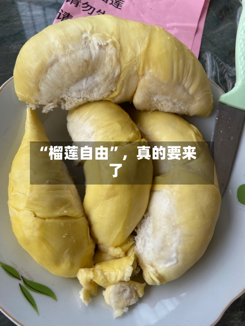 “榴莲自由”，真的要来了-第2张图片