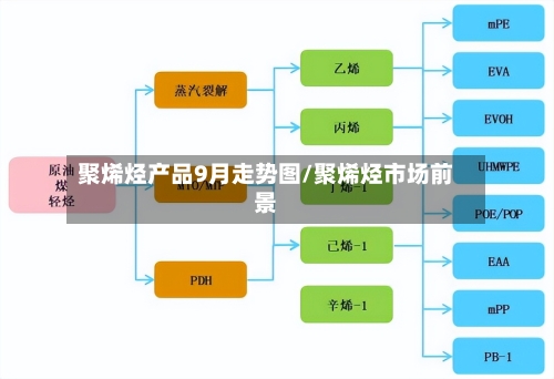 聚烯烃产品9月走势图/聚烯烃市场前景-第2张图片