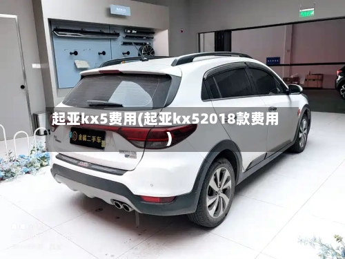 起亚kx5费用(起亚kx52018款费用)-第3张图片