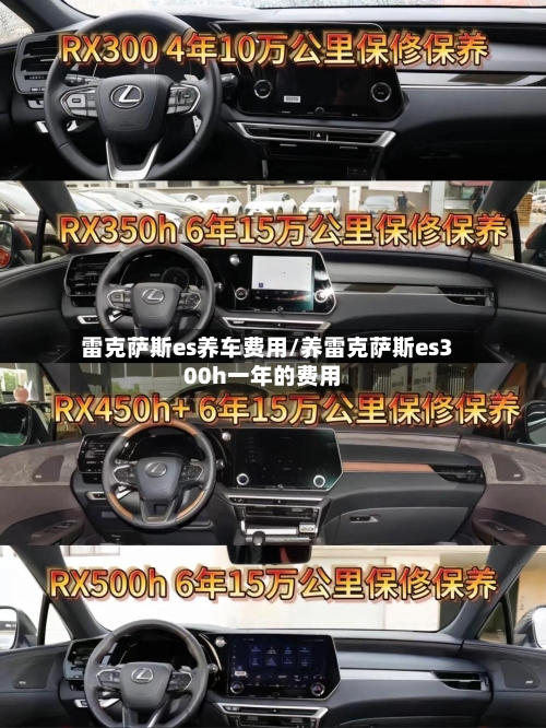 雷克萨斯es养车费用/养雷克萨斯es300h一年的费用-第1张图片