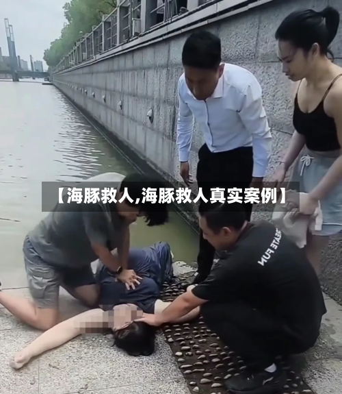 【海豚救人,海豚救人真实案例】-第2张图片