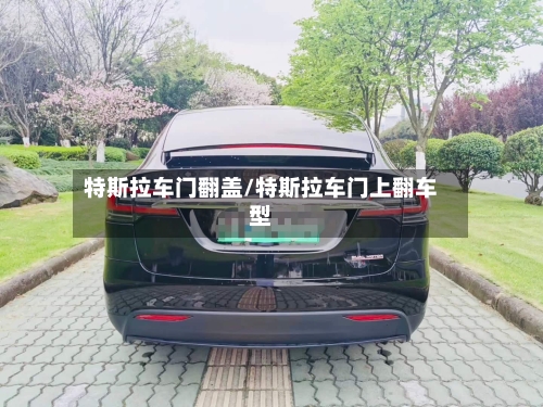 特斯拉车门翻盖/特斯拉车门上翻车型-第1张图片