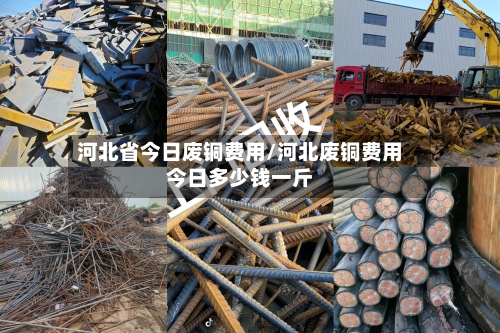 河北省今日废铜费用/河北废铜费用今日多少钱一斤-第1张图片