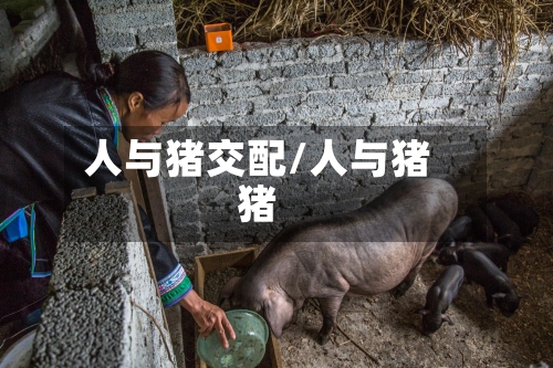 人与猪交配/人与猪猪-第1张图片