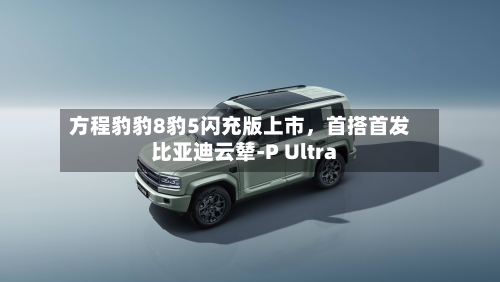 方程豹豹8豹5闪充版上市	，首搭首发比亚迪云辇-P Ultra-第2张图片