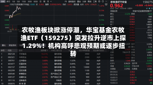 农牧渔板块掀涨停潮，华宝基金农牧渔ETF（159275）突发拉升逆市上探1.29%！机构高呼悲观预期或逐步扭转-第1张图片