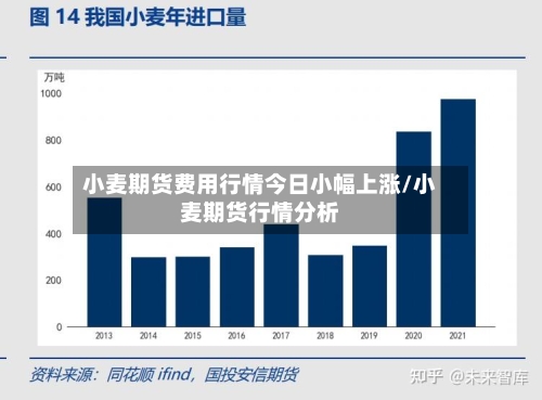 小麦期货费用行情今日小幅上涨/小麦期货行情分析-第1张图片