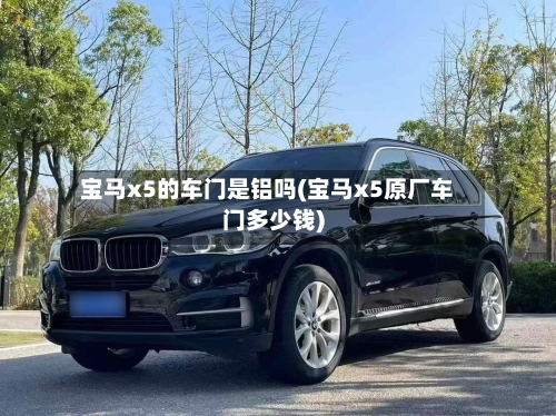 宝马x5的车门是铝吗(宝马x5原厂车门多少钱)-第2张图片