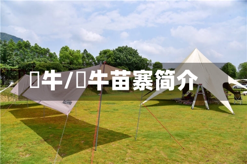 犇牛/犇牛苗寨简介-第2张图片