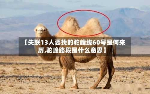 【失联13人要找的驼峰线60号是何来历,驼峰路段是什么意思】-第1张图片