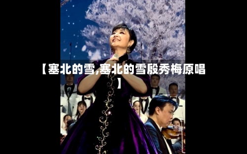 【塞北的雪,塞北的雪殷秀梅原唱】-第1张图片