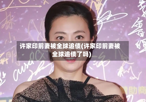 许家印前妻被全球追债(许家印前妻被全球追债了吗)-第1张图片