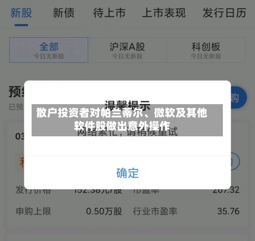 散户投资者对帕兰蒂尔、微软及其他软件股做出意外操作-第2张图片