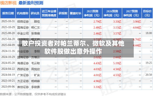 散户投资者对帕兰蒂尔	、微软及其他软件股做出意外操作-第3张图片