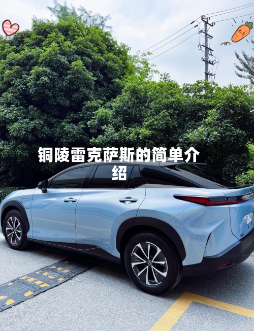 铜陵雷克萨斯的简单介绍-第2张图片