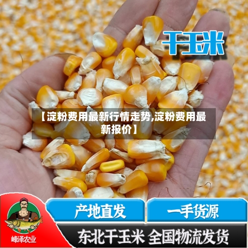 【淀粉费用最新行情走势,淀粉费用最新报价】-第1张图片