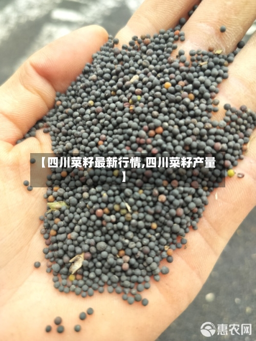 【四川菜籽最新行情,四川菜籽产量】-第1张图片