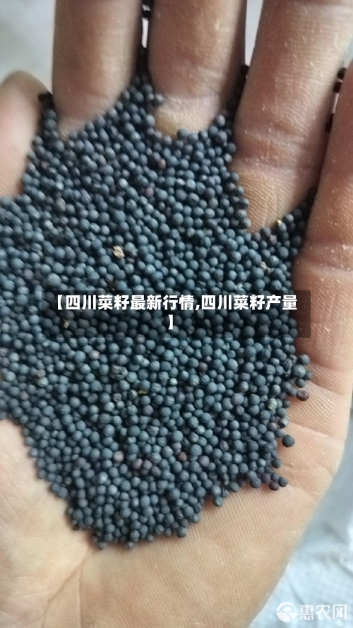 【四川菜籽最新行情,四川菜籽产量】-第3张图片