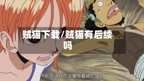 贼猫下载/贼猫有后续吗-第2张图片
