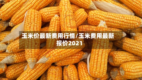 玉米价最新费用行情/玉米费用最新报价2021-第1张图片