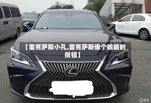 【雷克萨斯小孔,雷克萨斯像个眼睛的按钮】-第3张图片