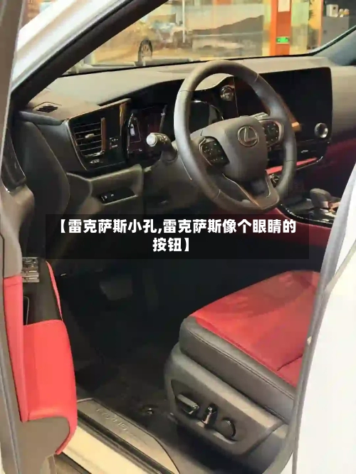 【雷克萨斯小孔,雷克萨斯像个眼睛的按钮】-第2张图片